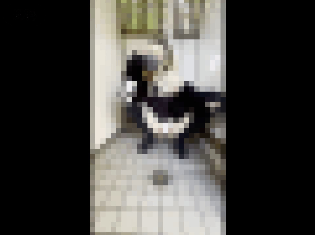 FC2-4108883 【期間限定数量限定WV更に1000pt引き!!】